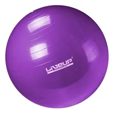 Kit 2 Bola Pilates Suiça 65cm Azul + 2 Bolas Suiça 55cm Roxa Foto mini 3
