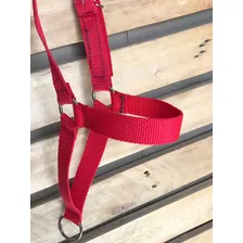Kit 2 Cabresto De Bezerro Para Guia Com Regulagem Foto mini 4