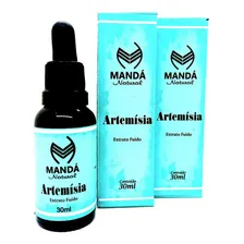 Kit 2 Losna ArtemÃsia Extrato Fluido Puro Natural MÃstico Foto mini 1