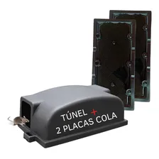 Kit 2 Placa Pega Rato + Túnel Porta Placa De Cola Pega Rato Foto  mini 1
