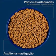 Kit 2 Rações Origens Premium Sênior Mini/pequeno 1kg Foto mini 4