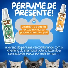Kit 2 Shampoos 350ml Pet - Perfume - Hipoalergênicos Fragrância Versões Foto mini 4