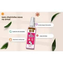 Kit 2 Shampoos 350ml Pet - Perfume - Hipoalergênicos Fragrância Versões Foto mini  3
