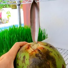 Kit 20 Abridor Furador Fura Coco Chave Gás Prático Reforçado Foto mini 4