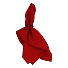 Kit 20 Guardanapos Tecido 35x35cm Oxford Para Mesa Posta Cor Vermelho Lisa Foto mini 2
