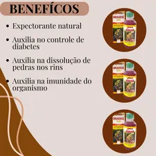 Kit 24 Xarope Antigripal Expectorante Gravatá Mel 250ml Foto mini 3