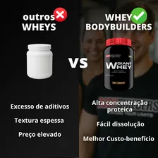 Kit 2x Whey Proteina 2x Bcaa 2x Creatina Coqueteleira Bodybuilders Sabor Baunilha Foto mini 3
