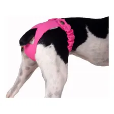 Kit 3 Calcinha Higiênica Pet Fêmea Cachorra Pickorruchos - M Foto mini  3