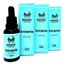 Kit 3 Extratos Fluidos Losna ArtemÃsia MÃstica Milagrosa Sabor Natural Foto mini 1