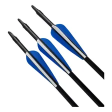 Kit 3 Flechas Fibra De Carbono Com Ponta Azul Para Arco Foto mini  3