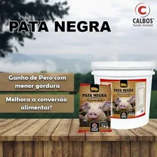 Kit 3 Núcleo Suínos Pata Negra 1kg Vitaminas Min Aminoacido Foto mini  3
