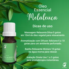 Kit 3 Óleo Melaleuca Tea Tree Puro 10ml Oliapon Foto mini 3