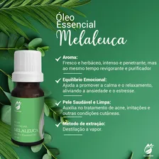 Kit 3 Óleo Melaleuca Tea Tree Puro 10ml Oliapon Foto mini 2