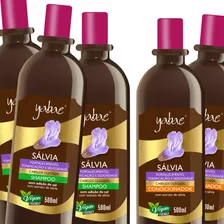 Kit 3 Shampoos + 2 Condicionadores Sálvia 500ml Yabae Foto mini  3