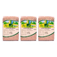 Kit 3 Trigo Em Grãos Orgânico À Vácuo Coopernatural 500g Foto mini 1
