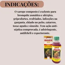 Kit 36 Xarope Expectorante Gravatá Mel Bronquite 250ml Foto mini 2