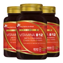 Kit 3x Vitamina B12 + Ferro + Ácido Fólico 60 Vegan Caps Foto mini  2