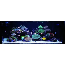 Kit 4 Lâmpadas Barra Led Iluminação AquÔrio Peixes 127/220v Foto mini 3