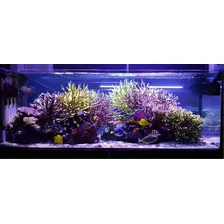 Kit 4 Lâmpadas Barra Led Iluminação AquÔrio Peixes 127/220v Foto mini 2