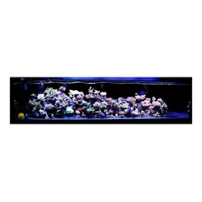 Kit 4 Lâmpadas Barra Led Iluminação AquÔrio Peixes 127/220v Foto mini 4