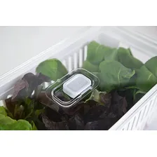Kit 4 Organizadora Geladeira Frutas Verduras Com 5l E 2,2l Foto mini 3