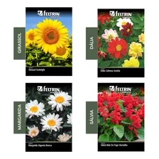 Kit 4 Sementes Flores Jardim Jardinagem Foto  mini 1