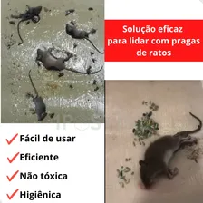 Kit 5 Armadilhas Pega Rato Adesiva Para Rato Barata Insetos Foto mini 4