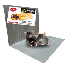 Kit 5 Armadilhas Pega Rato Adesiva Para Rato Barata Insetos Foto  mini 1