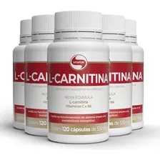 Kit 5 L-Carnitina + B6 Vitafor 120 Cápsulas Sabor Sem Sabor Foto mini 1