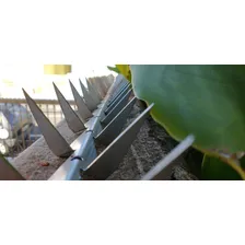 Kit 5 Metros Lança Para Muro Mandibula Foto mini 4