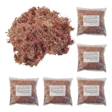 Kit 5 Musgos Sphagnum 5 Litros Substrato P/ Plantas Orquídea Foto  mini 1