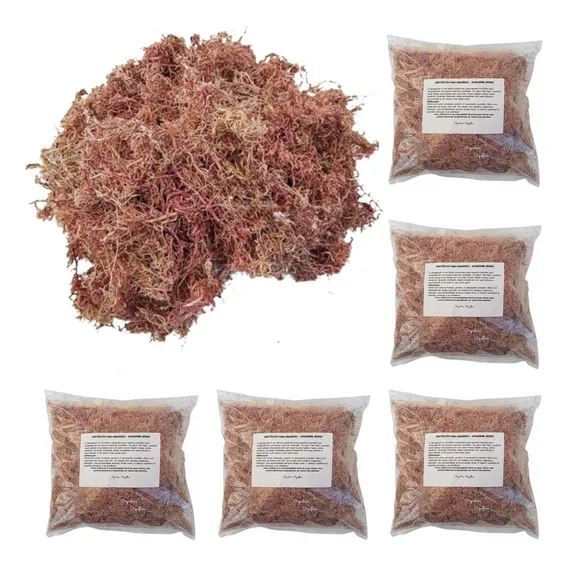 Kit 5 Musgos Sphagnum 5 Litros Substrato P/ Plantas Orquídea Foto 1