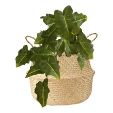 Kit 5 Plantas Permanentes Folhagem Realista Para Decorações Foto mini 1