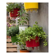 Kit 5 Suporte Parede Pendurar Plantas Vaso Irrigável Pequeno Foto mini  3