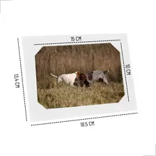 Kit 50 Porta Retrato Molduras Painel Branco Decorativo Mesa Liso Foto mini 3