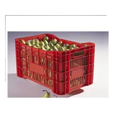 Kit 6 Caixas HortifrĂști AgrĂcola Coloridas Cor Verde Foto mini 2