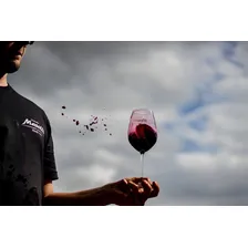 Kit 6 Garrafas Vinho Tinto Seco Bordô VinÃcola Masotti Foto mini 4