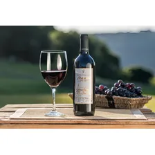 Kit 6 Garrafas Vinho Tinto Seco Bordô VinÃcola Masotti Foto mini 3