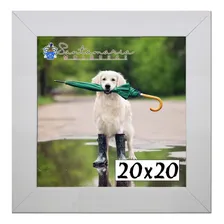 Kit 6 Porta Retrado Molduras 20x20 Branco Liso Foto mini  3