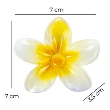 Kit 6 Presilhas Grande Flor Do Havaí Cabelos Prendedor Praia Foto mini 2