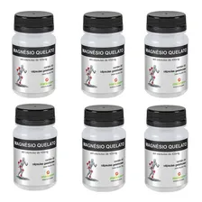 Kit 6x Magnésio Quelato 60 Cápsulas - Meissen Foto mini 1