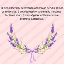 Kit 7 Óleos Essenciais 100% Puros E Naturais Foto mini  3