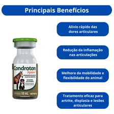 Kit 8 Unidades - Condroton Injetável 10 Foto mini  2