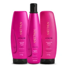 Kit Aneethun Color System Sh300ml+mask250g+finalizador250g Foto mini 1