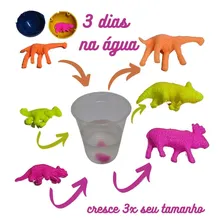 Kit bolinha pula pula 27mm mais 100 animais crescem agua Foto mini 4