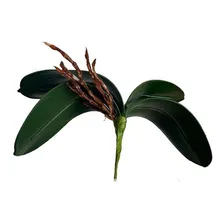Kit C/ 10 Folhas De Orquidea Grande C/ Raizes Artificial Foto mini  2