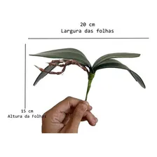 Kit C/ 10 Folhas De Orquidea Grande C/ Raizes Artificial Foto mini  3