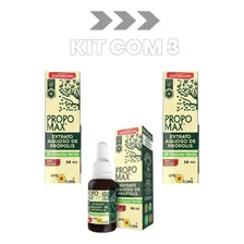 Kit C/ 3 Propomax Ext Pr贸polis Sem 脕lcool 30ml Apis Flora Foto mini 1