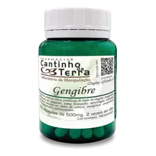 Kit Capsula Gengibre 500mg - 2 Potes Foto  mini 1