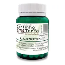 Kit Capsulas Champorus Agaricus 250mg - 3 Potes Foto mini 1
